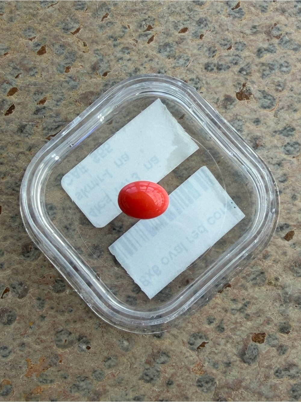 Red Coral oval 8x6 1.22 carat cabachon